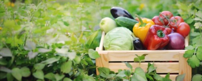FSSAI for Agricultural Products