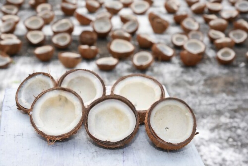 FSSAI for Coconut Oil Manufacturers
