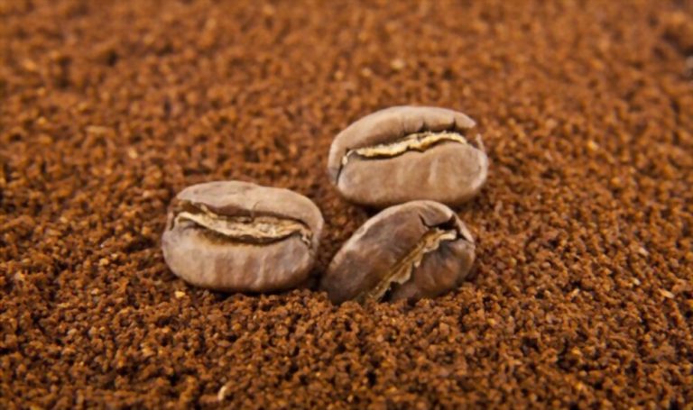 FSSAI for Coffee Powder