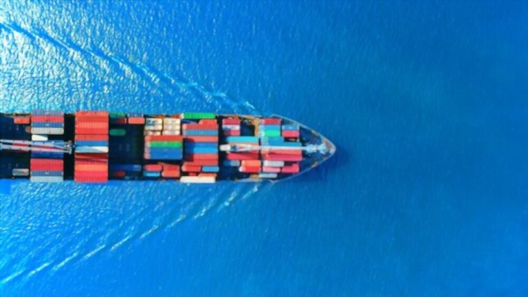 FSSAI for Importers